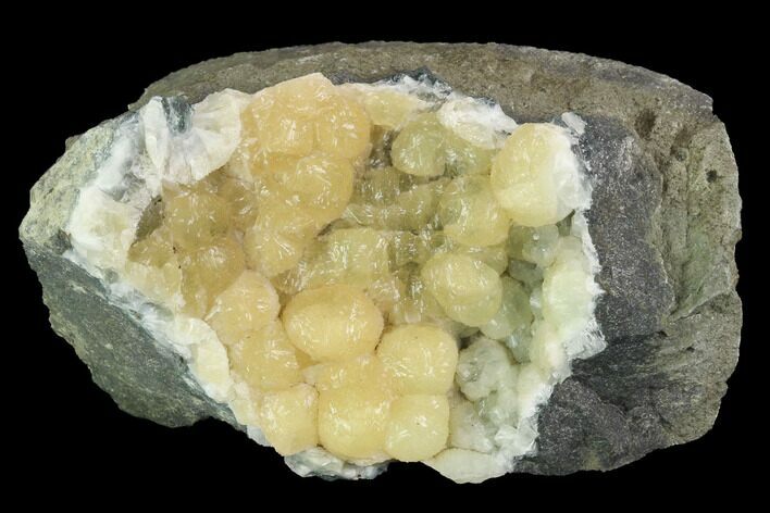 Botryoidal, Yellow Prehnite Crystal Cluster - Connecticut #100176